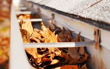 Steel Green gutter cleaning companies