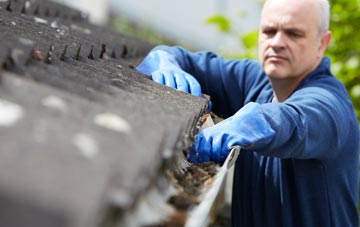 cleaning and inspecting Steel Green roofs